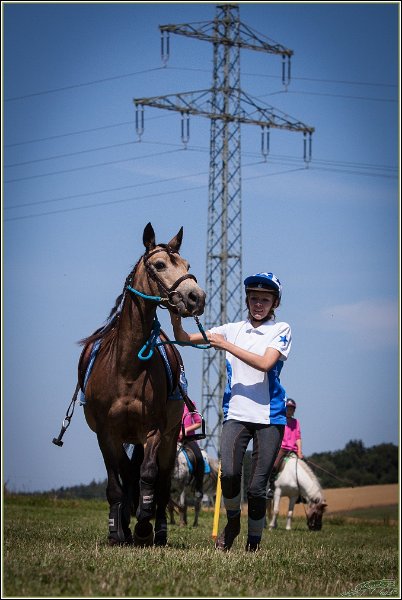 Mounted Games 180